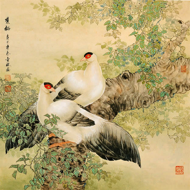 鲁金林(图11)