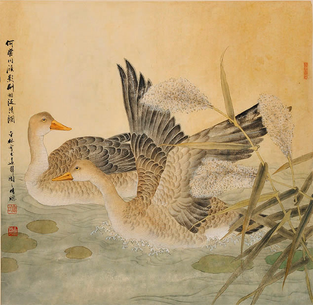 鲁金林(图6)