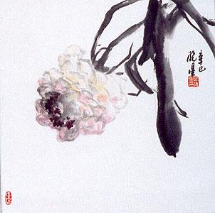 包晓星(图5)