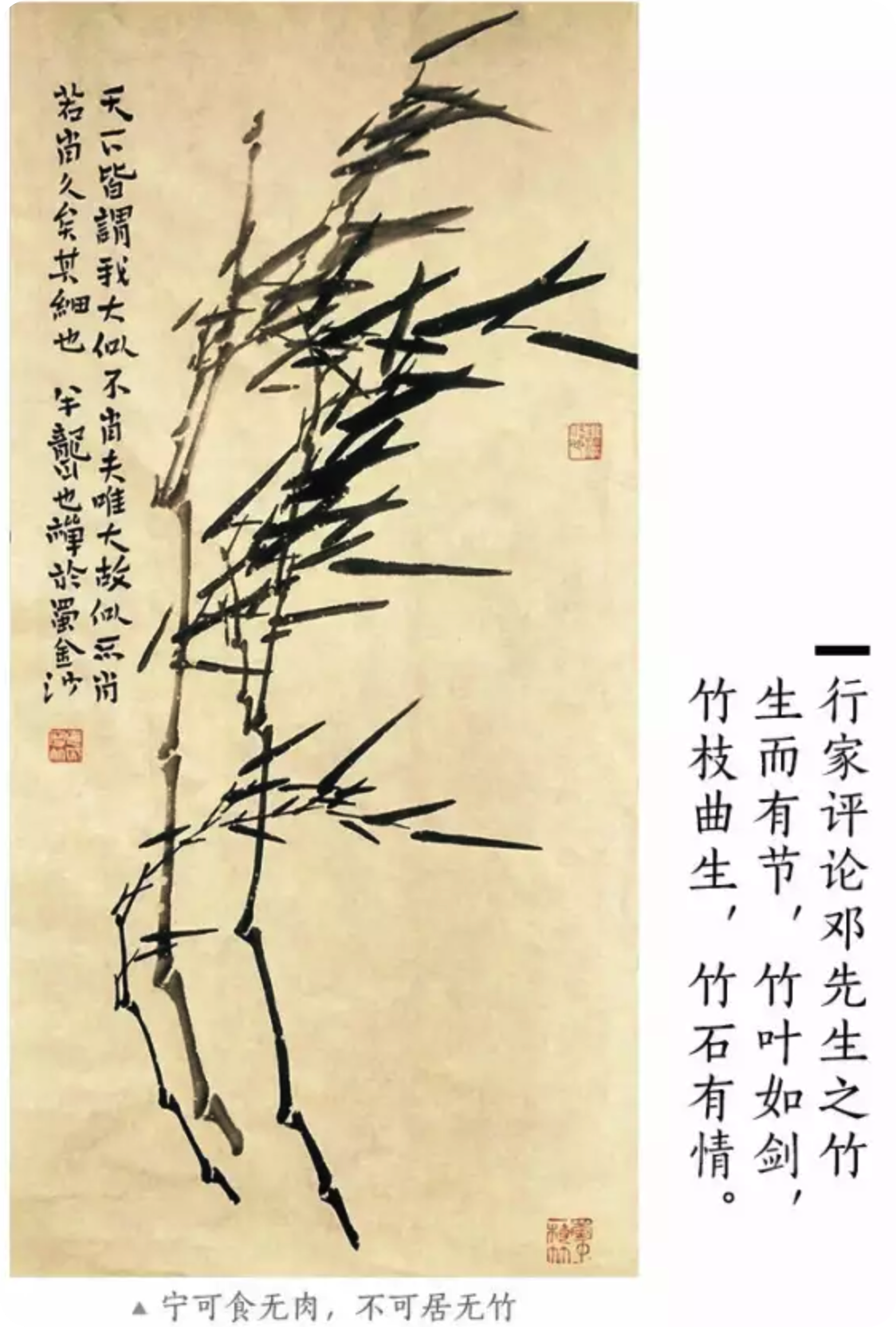 蜀中一枝竹(图1)