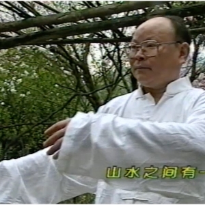 体育人生| 成都电视台1998年